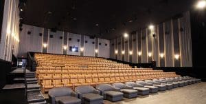 Danley Sound Labs Imagine Novi movie theatre install